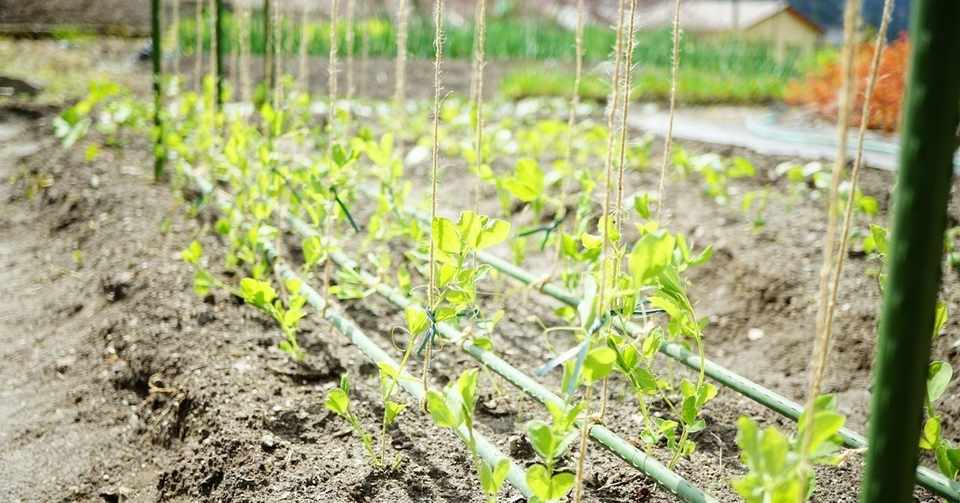 支柱を手作りしてみました ゆかこ Note