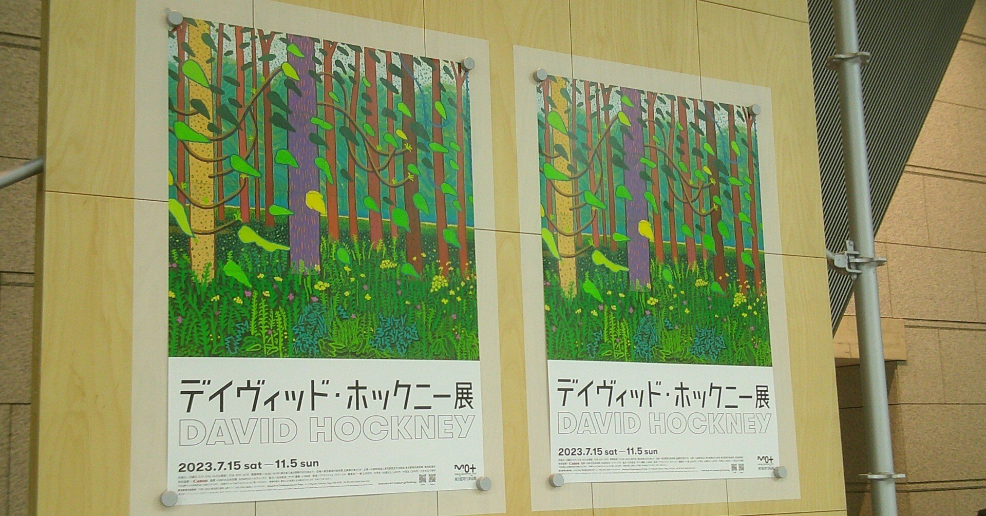 デイヴィッド・ホックニー展｜桑原亘之介