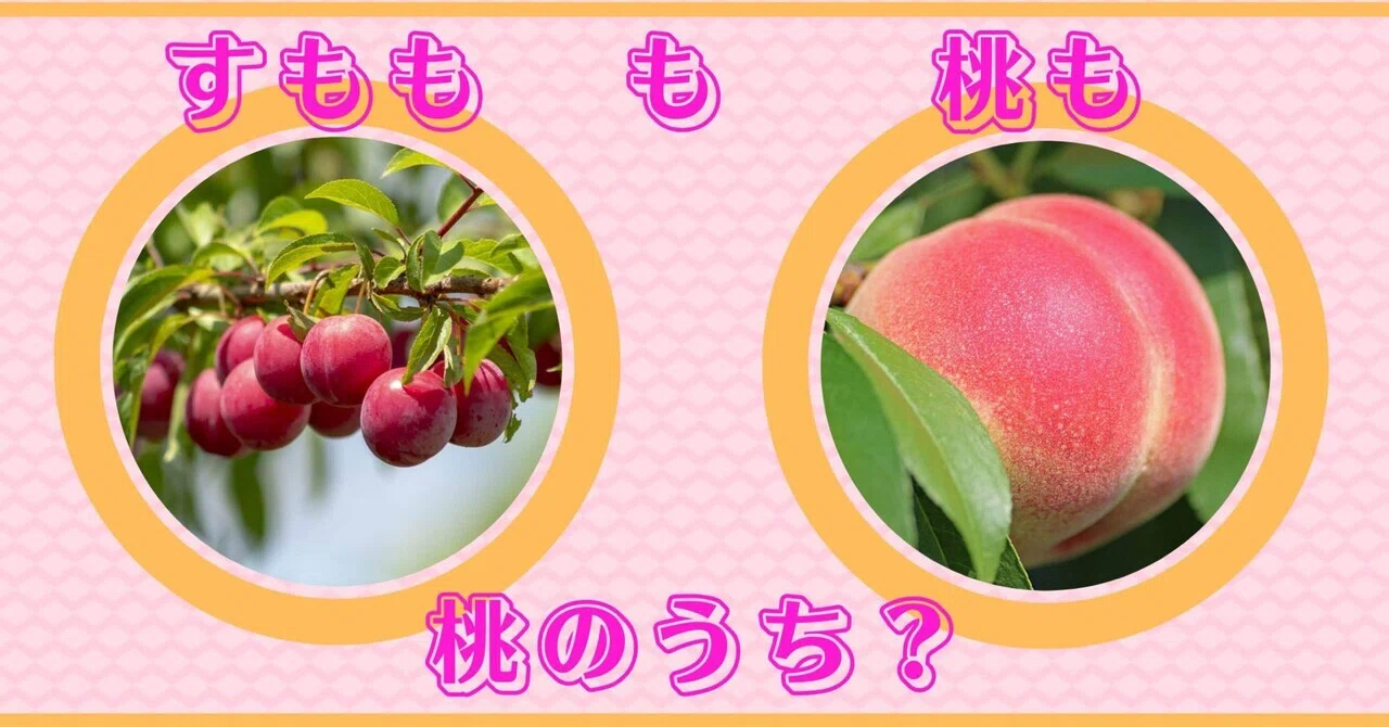 スモモ も 桃 も 桃 の うち