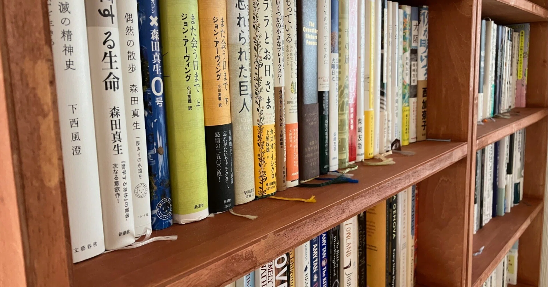 本好きのための”清く正しい本棚”を作ってみた（前編）｜アサヨム
