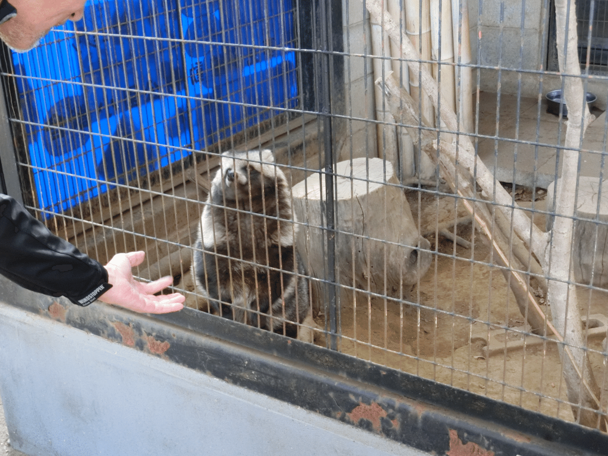 夢見ヶ崎動物公園 前編|りすす 夢見ヶ崎動物公園 前編|りすす