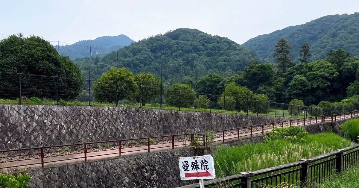 速水御舟、【洛北修学院村】、豪華・希少画集画、新品高級額・額装付、状態