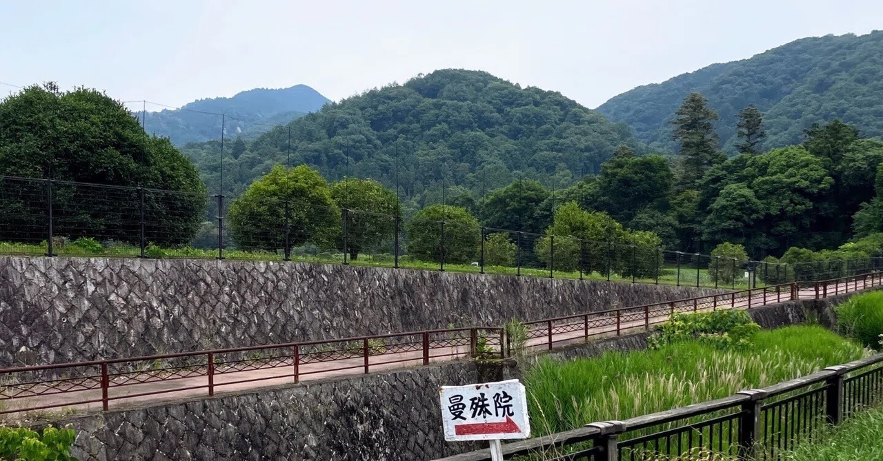 速水御舟の《洛北修学院村》を訪ねて｜美術館とお寺と猫