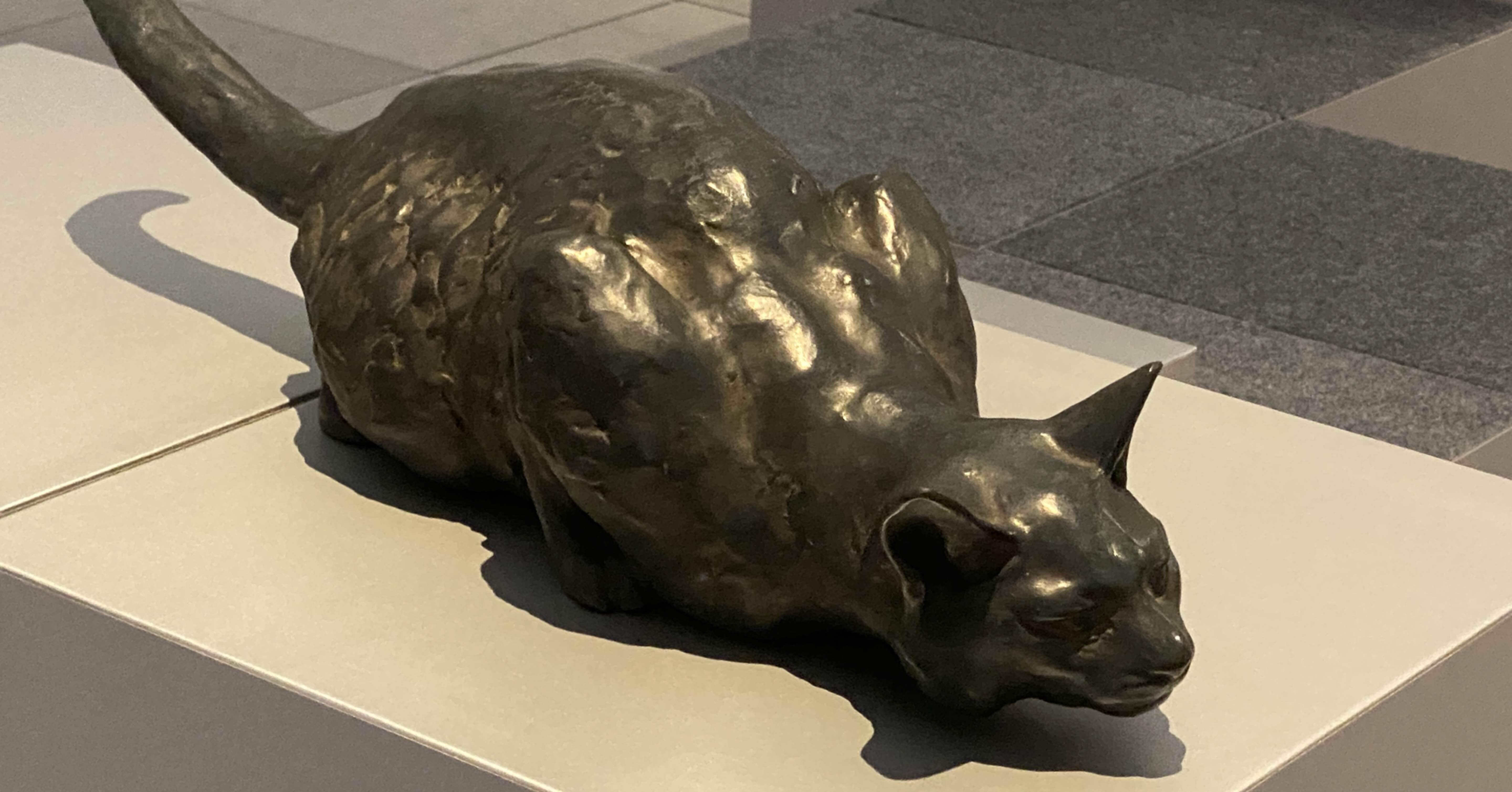 猫を巡る。｜Charley Yang