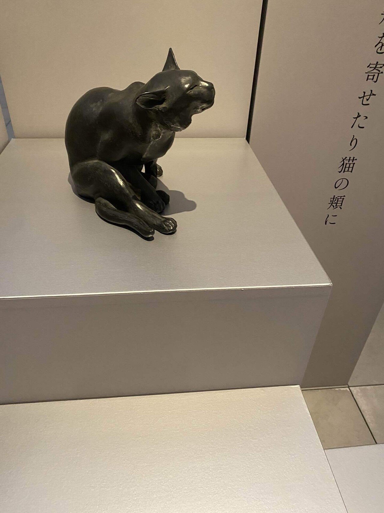 猫を巡る。｜Charley Yang