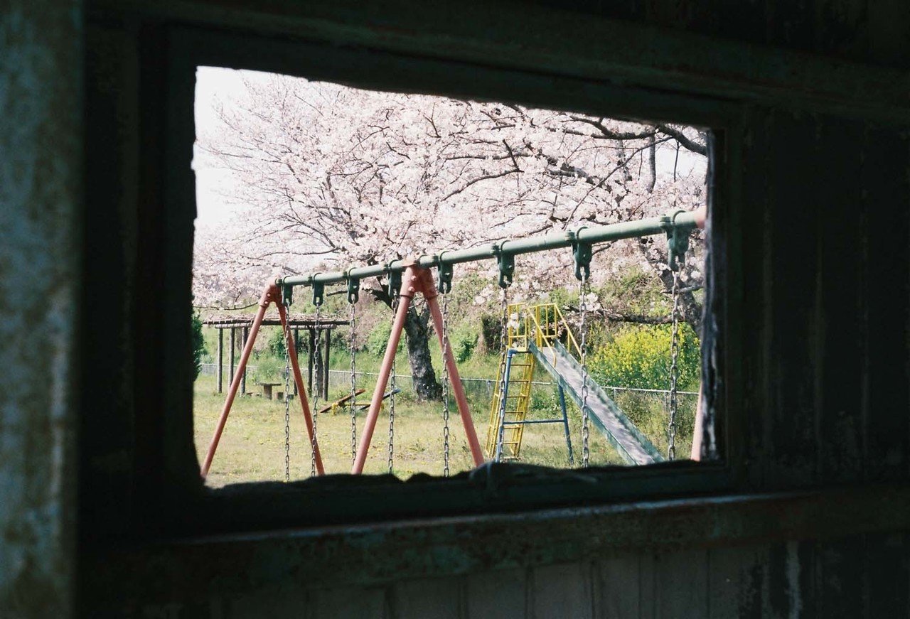 ひっそりと桜|kunihito_miki ひっそりと桜|kunihito_miki