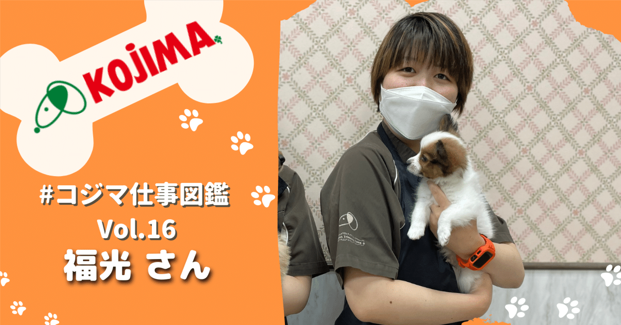 トリマーはお客様とワンちゃんの幸せを支えるお仕事。【#コジマ仕事