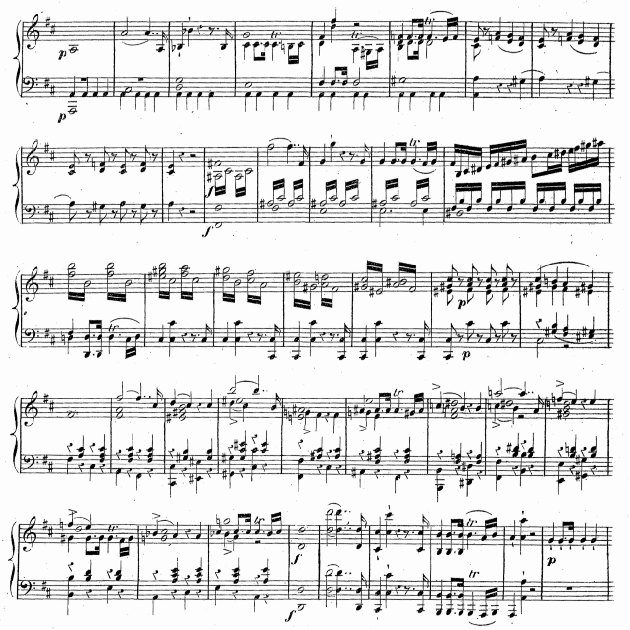 ハイドン／弦楽四重奏曲6曲パート譜（エルデーディ四重奏曲集）ヘンレ版 ハイドン／弦楽四重奏曲パート譜「エルデーディ四重奏曲集」ヘンレ版