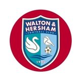 Walton & Hersham FC Japan