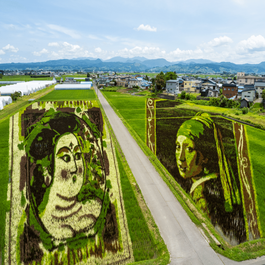 田舎館村の田んぼアート、何でどう撮るか？一眼カメラ、スマホ、360