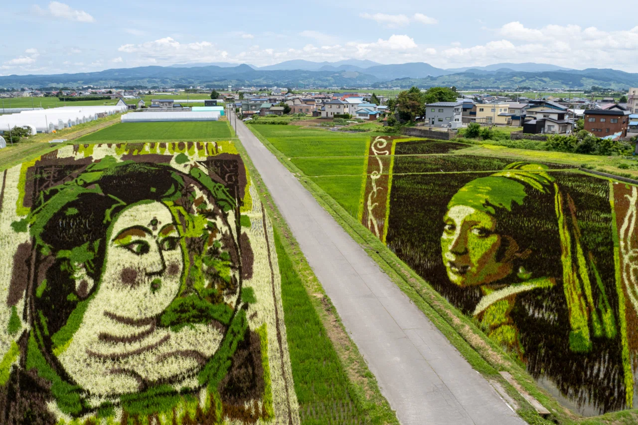 田舎館村の田んぼアート、何でどう撮るか？一眼カメラ、スマホ、360