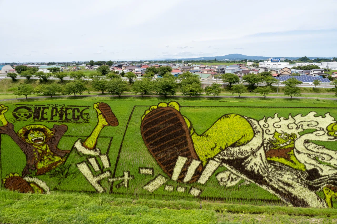 油絵 絵画 【田舎の田んぼ】 油絵 絵画 【田舎の田んぼ】 | HIROSHI1990