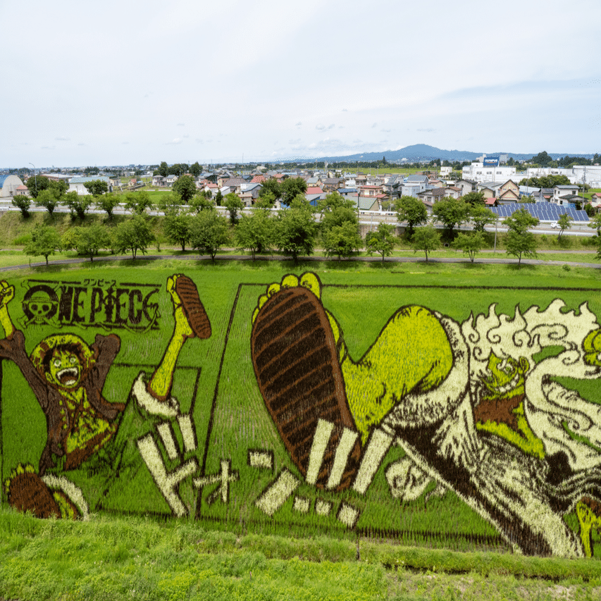 田舎館村の田んぼアート、何でどう撮るか？一眼カメラ、スマホ、360