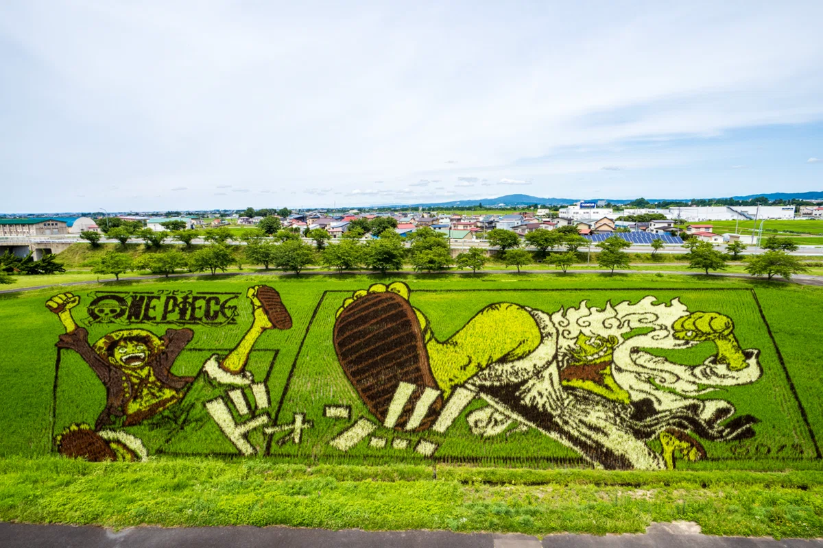 田舎館村の田んぼアート、何でどう撮るか？一眼カメラ、スマホ、360