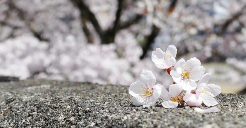 おやおや 花粉症がほぼ治まった はる筆線屋 Note
