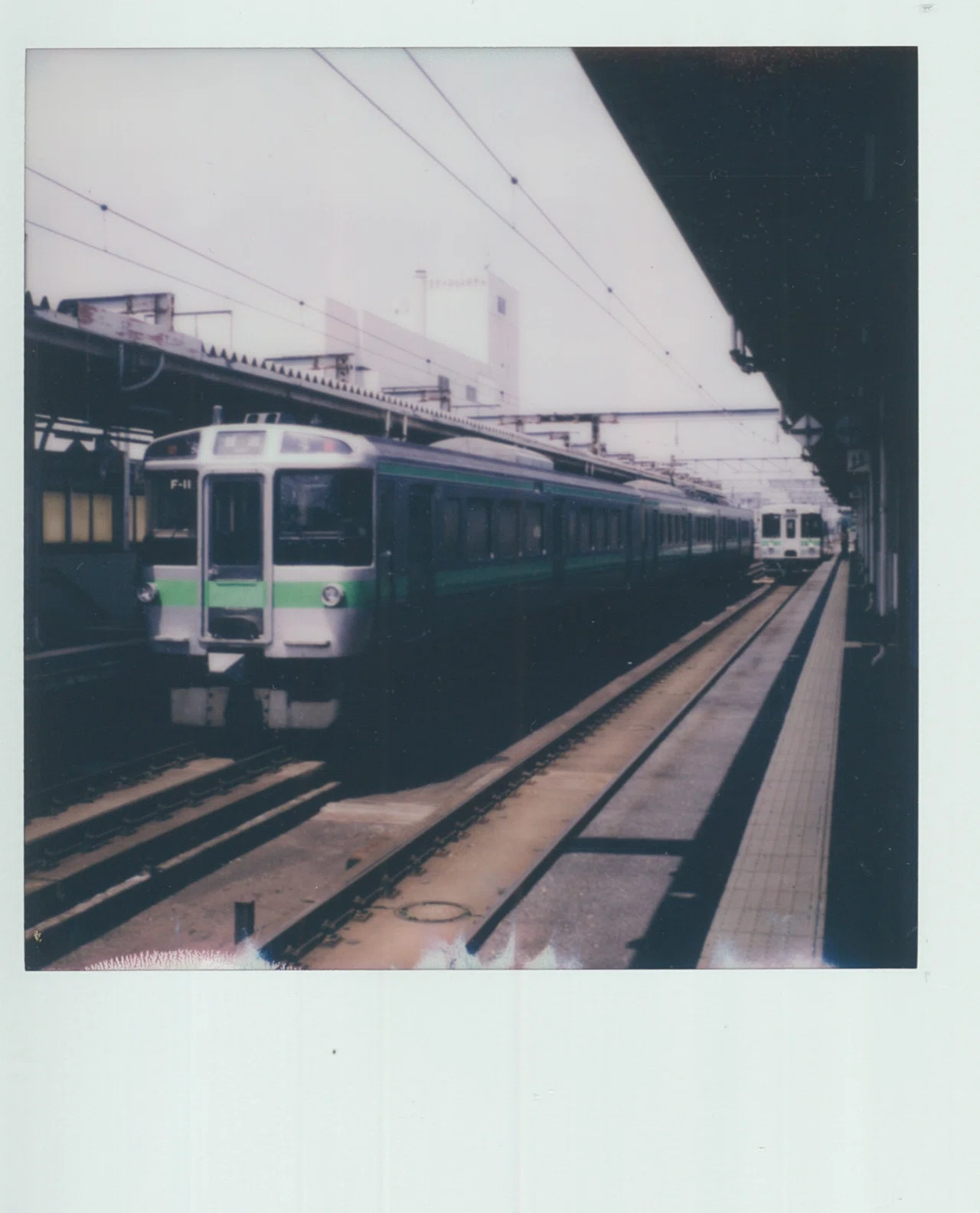 ポラロイドSX-70で撮った写真（露出まあまあ）｜黒猫デル太
