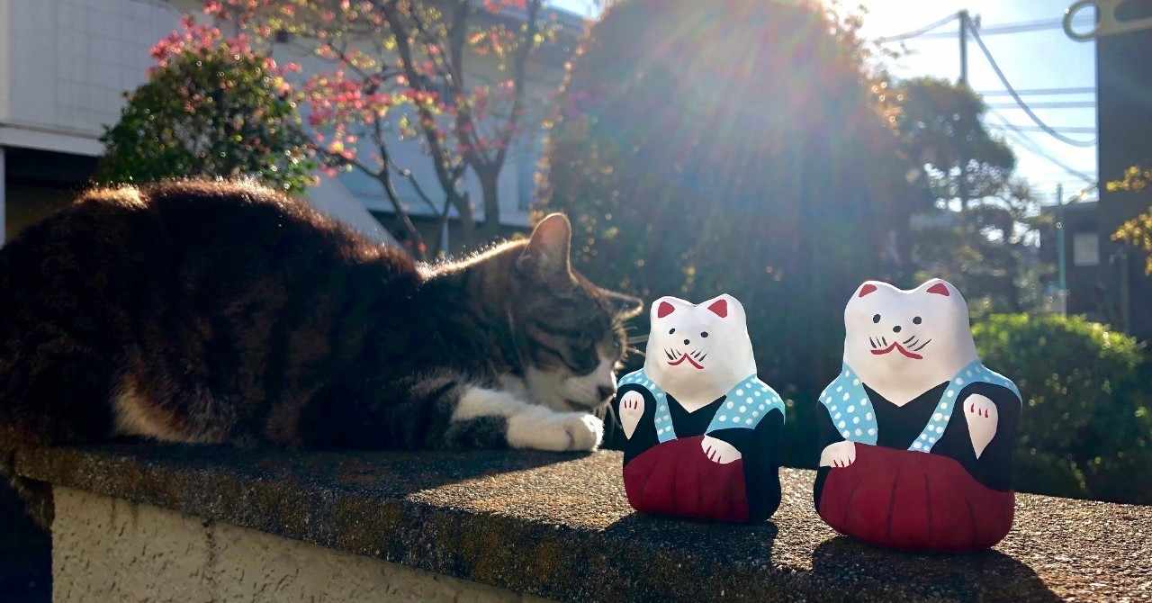 初辰猫 はつたつねこ 大阪府 大阪市 渡部剛 Go Watabe Note