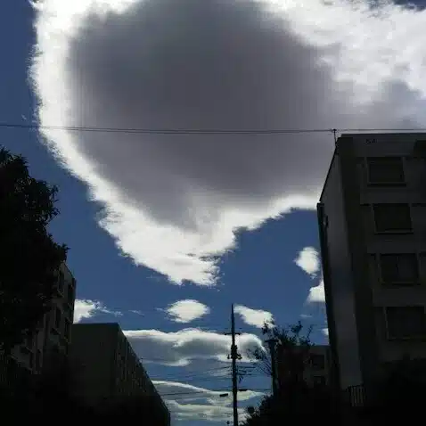 万野恭一