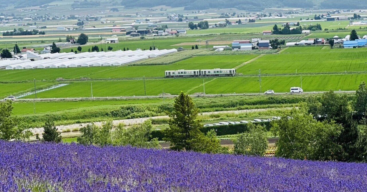 夏の北海道】富良野のラベンダーに包まれる｜暮らしのこと hakkou_n