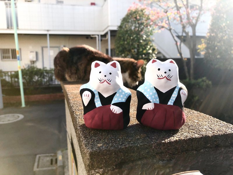 初辰猫 はつたつねこ 大阪府 大阪市 20190416 渡部剛 Go Watabe Note