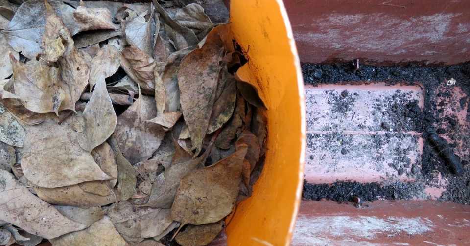 屋外 水平移動 制限 型ミミズコンポスト Eiko Toda Note