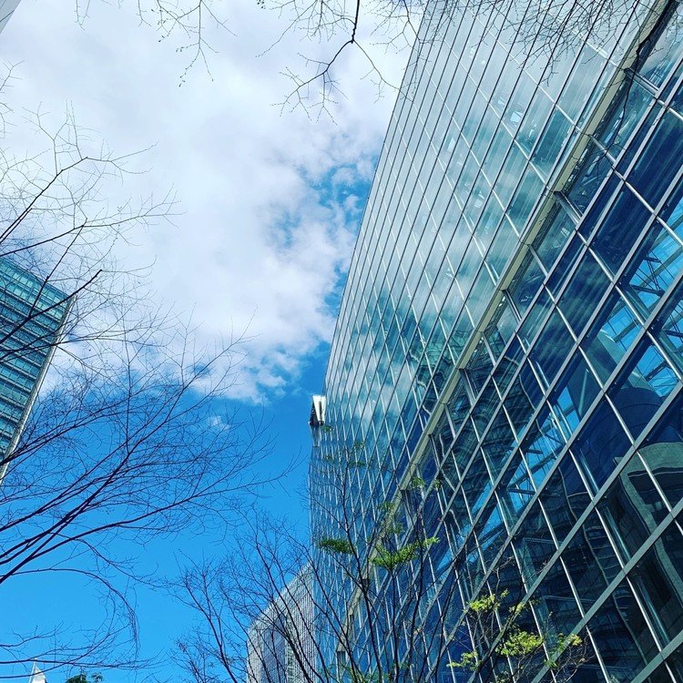 東京の春
久しぶりの東京国際フォーラムは
暖かくて青空が見えた



#写真 #春 #青空 #東京 #花 #東京国際フォーラム