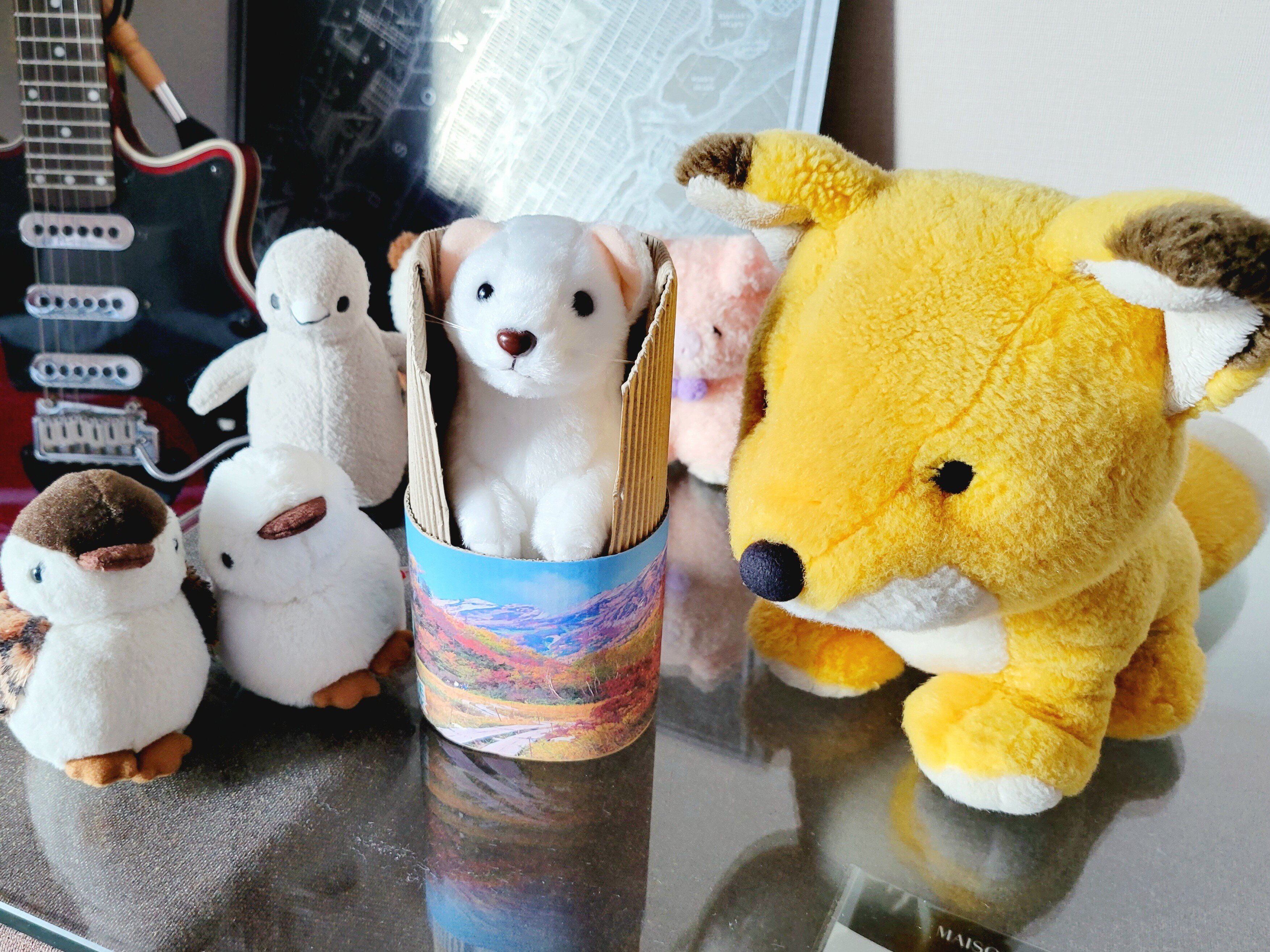 オコジョ」の誕生か！？ 栂池自然園限定の野生のぬいぐるみが きつね氏