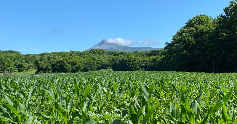 夢を諦めない