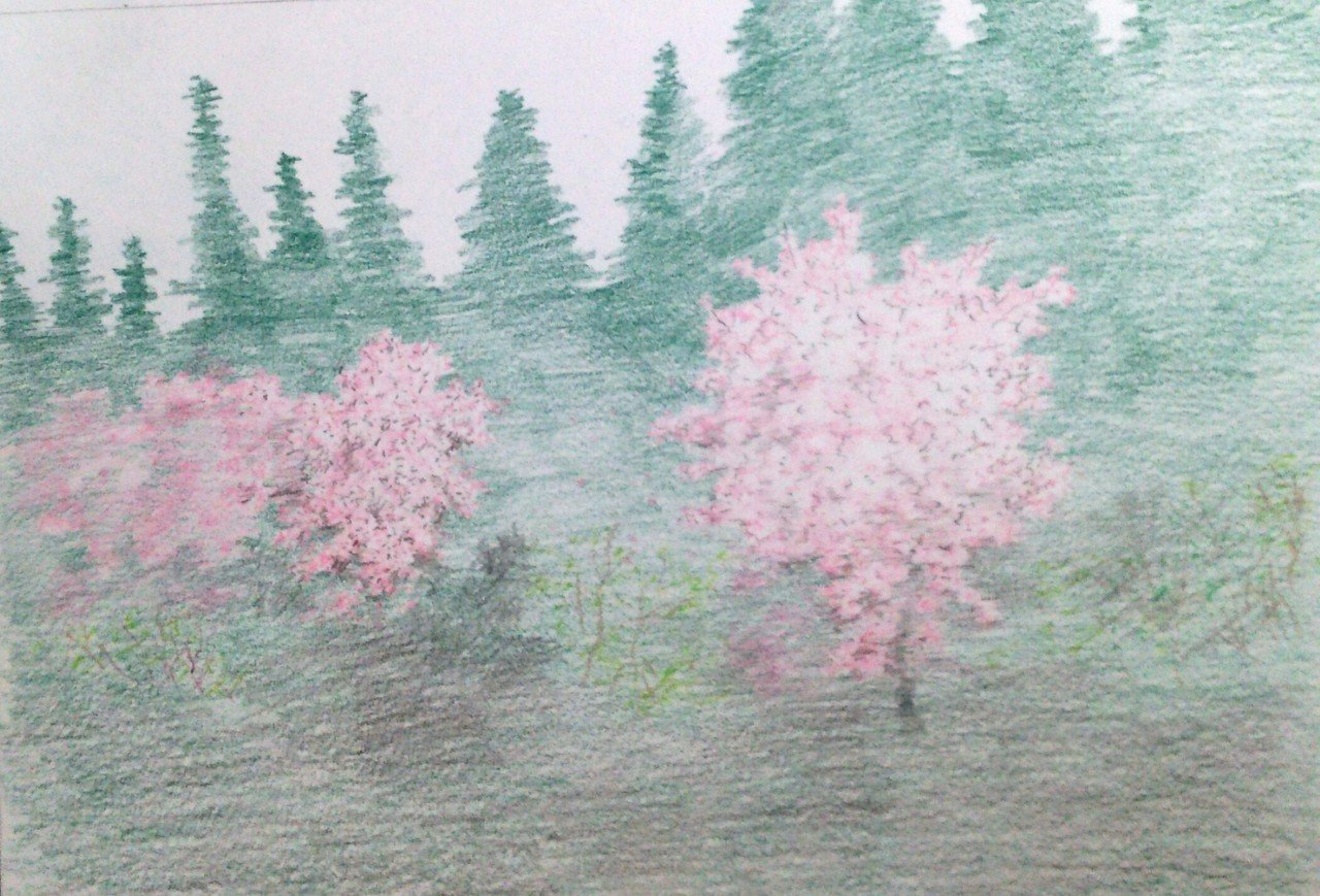 桜 色鉛筆 雨水南都 Note 桜 色鉛筆 雨水南都 Note