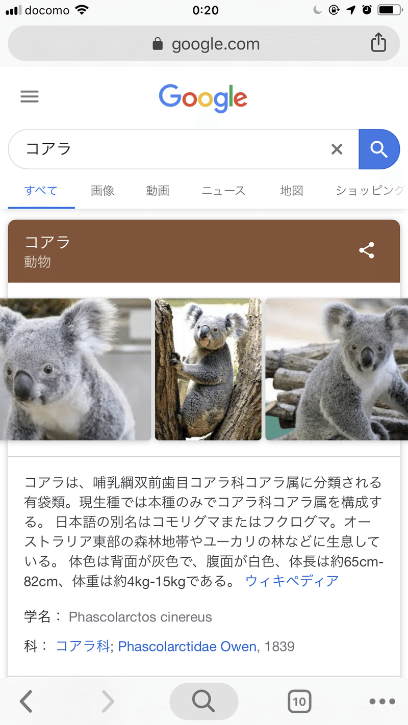 コアラの絵 スヌピタ Note コアラの絵 スヌピタ Note