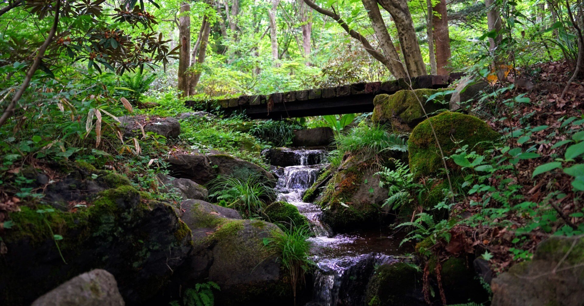 2623b857a1522aa46d7f040a64aab1