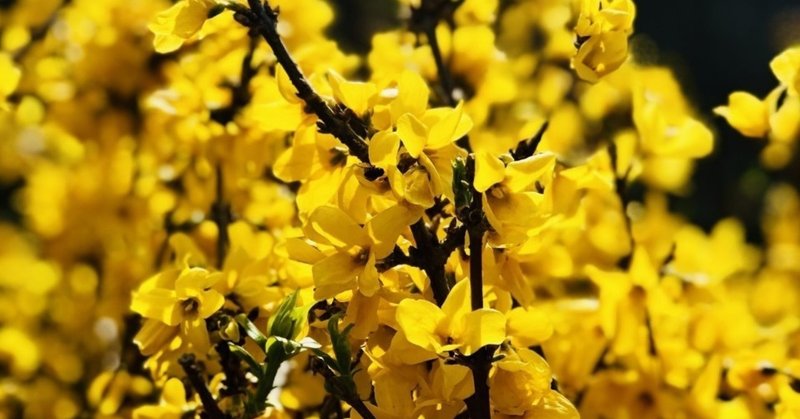 Mr Children から学ぶ 自分らしさとは何か 唐澤俊和 軟水 Note