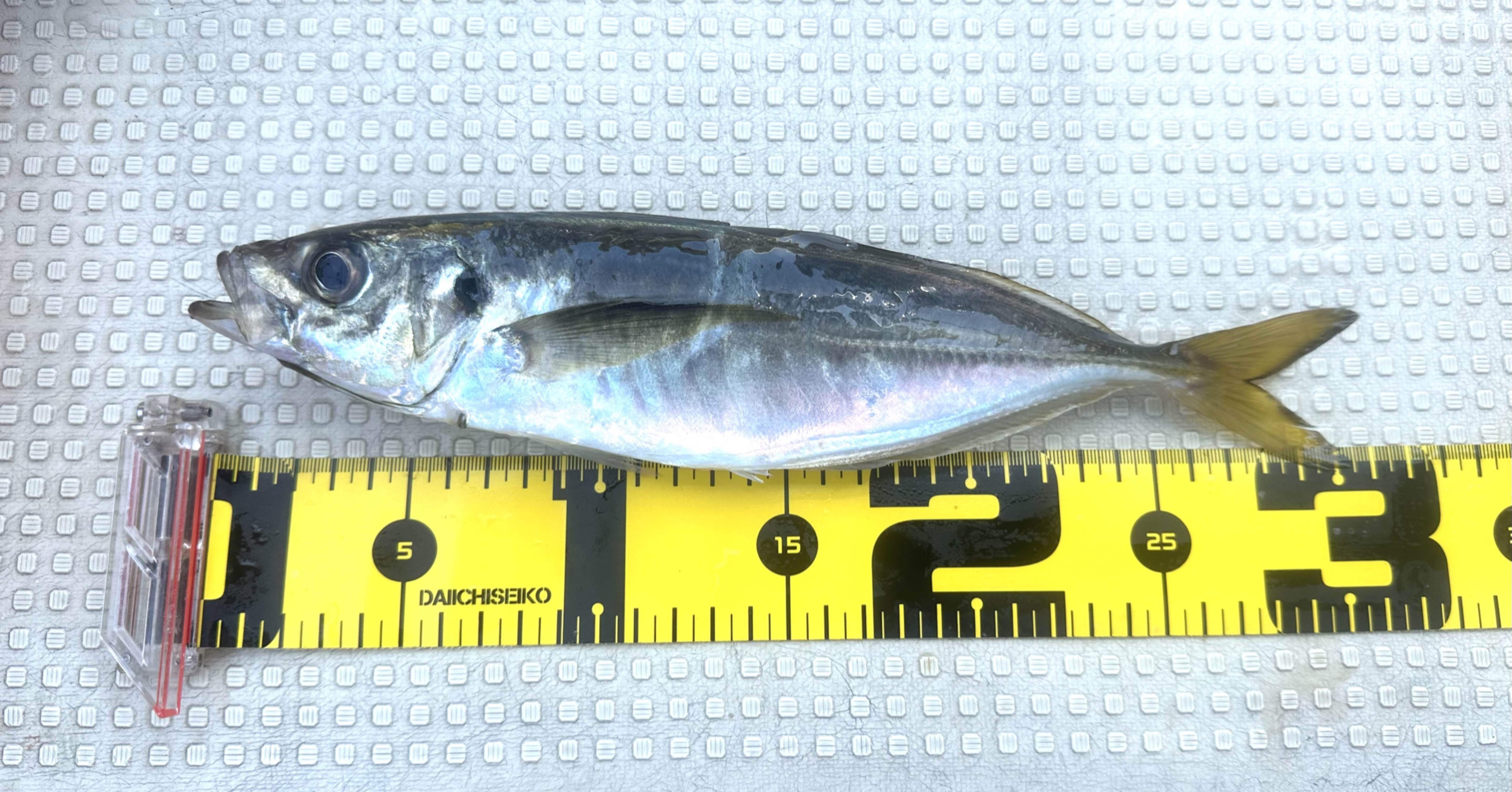 5efc3ec5f7230ae54f066f96d93a20