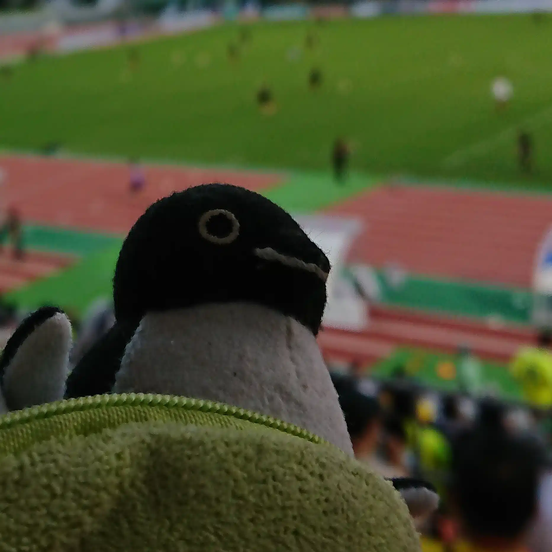 gupinchan（坐骨神経のペンギン）