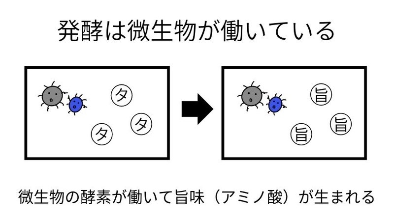 図解 発酵と熟成の違いって何なのさ アベリコ 生ハム漫画家 Note