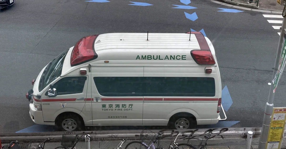 èŠåºãç»å
