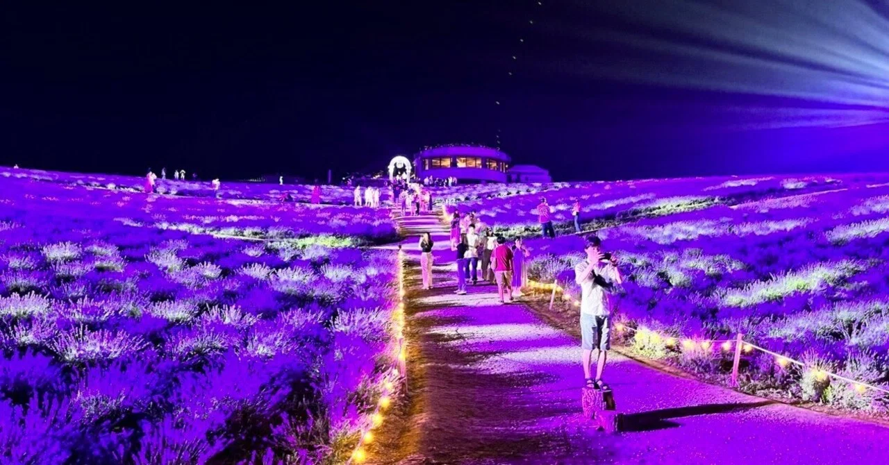 上富良野 光と音楽が織りなす日本一の花絶景｜こうへい