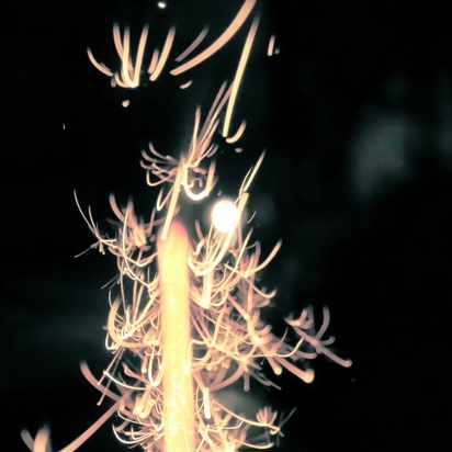 日本語訳フォークナー作品を国立国会図書館デジタルコレクションで読