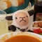 Yuko / Baa Baa Sheep Press