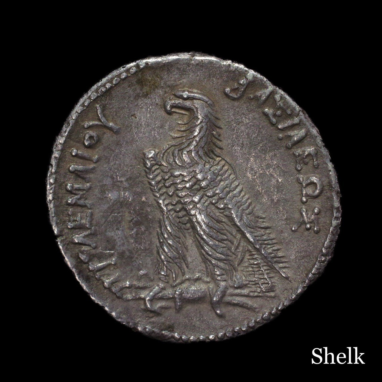 アメン・ゼウス神 プトレマイオス朝エジプト イーグル プトレマイオス4