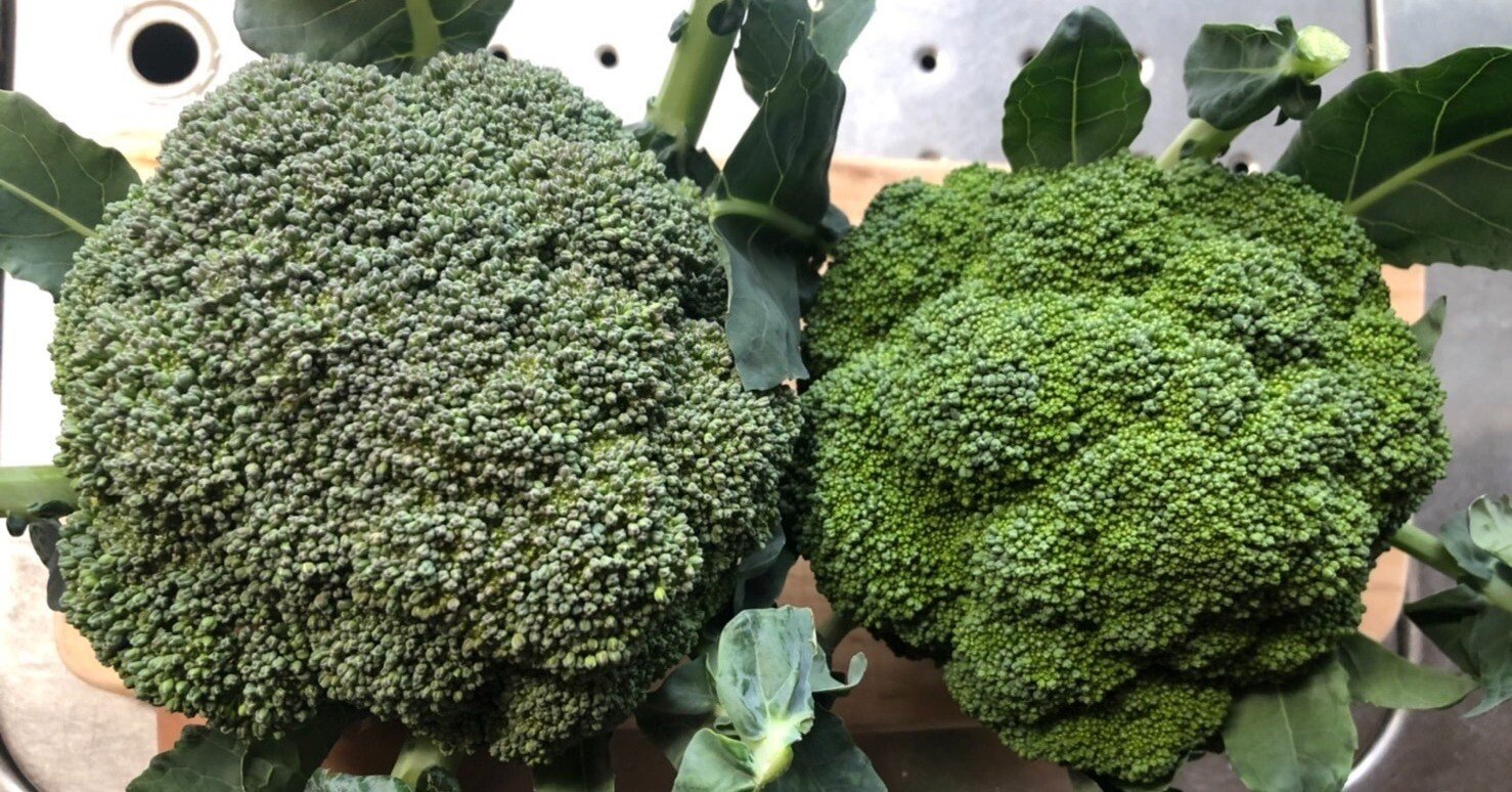 c169015345144a5e0c8d642229e7ad