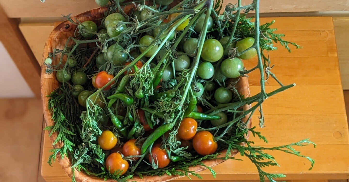 子ども食堂たんぽぽ（2023年7月8日）