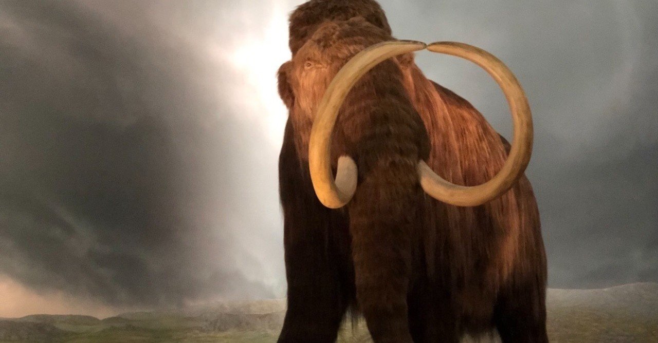 ロイヤルブリティッシュ・コロンビア博物館 写真集 1992年　展示品 洋書 英国 ロイヤルブリティッシュ・コロンビア博物館 写真集 1992年 展示