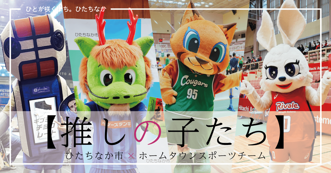 rectangle_large_type_2_cc5b7a9