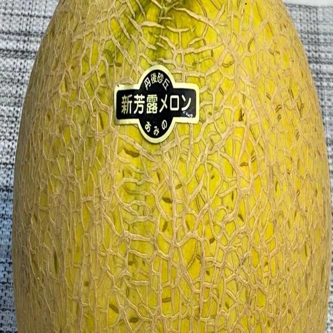 人生初！】幻のメロン、食べてみた！｜☆星空乃 雫☆（ほしからのしずく）