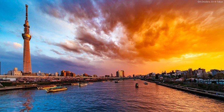 The 朝焼け 夕焼け Of Today 東京 小野寺宏友 Note The 朝焼け 夕焼け Of Today 東京 小野寺宏友 Note