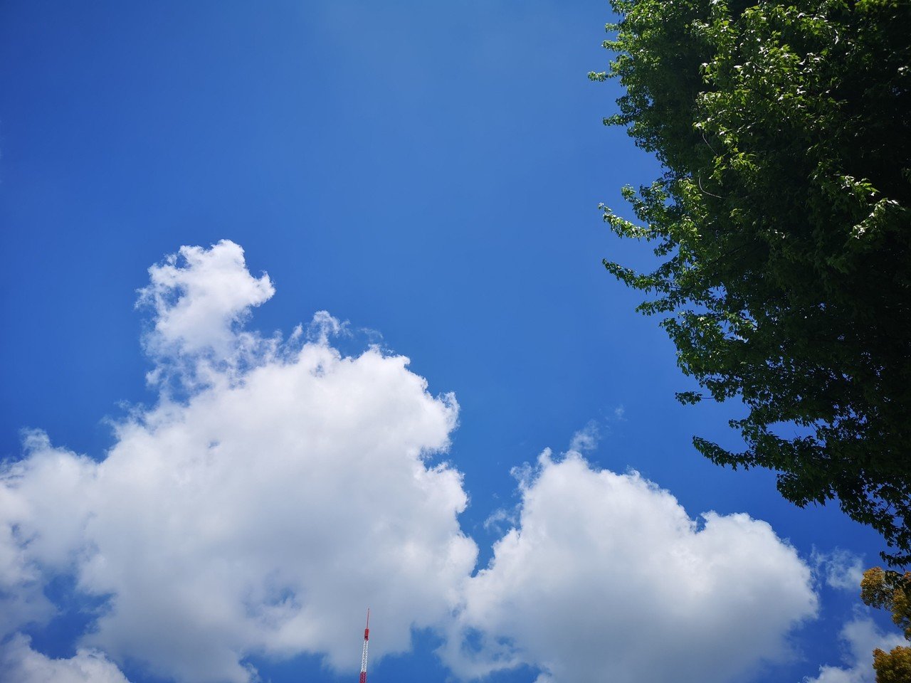 春から夏に変化する空 Dama Oishi Note 春から夏に変化する空 Dama Oishi Note