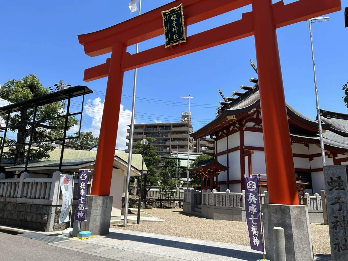 画像