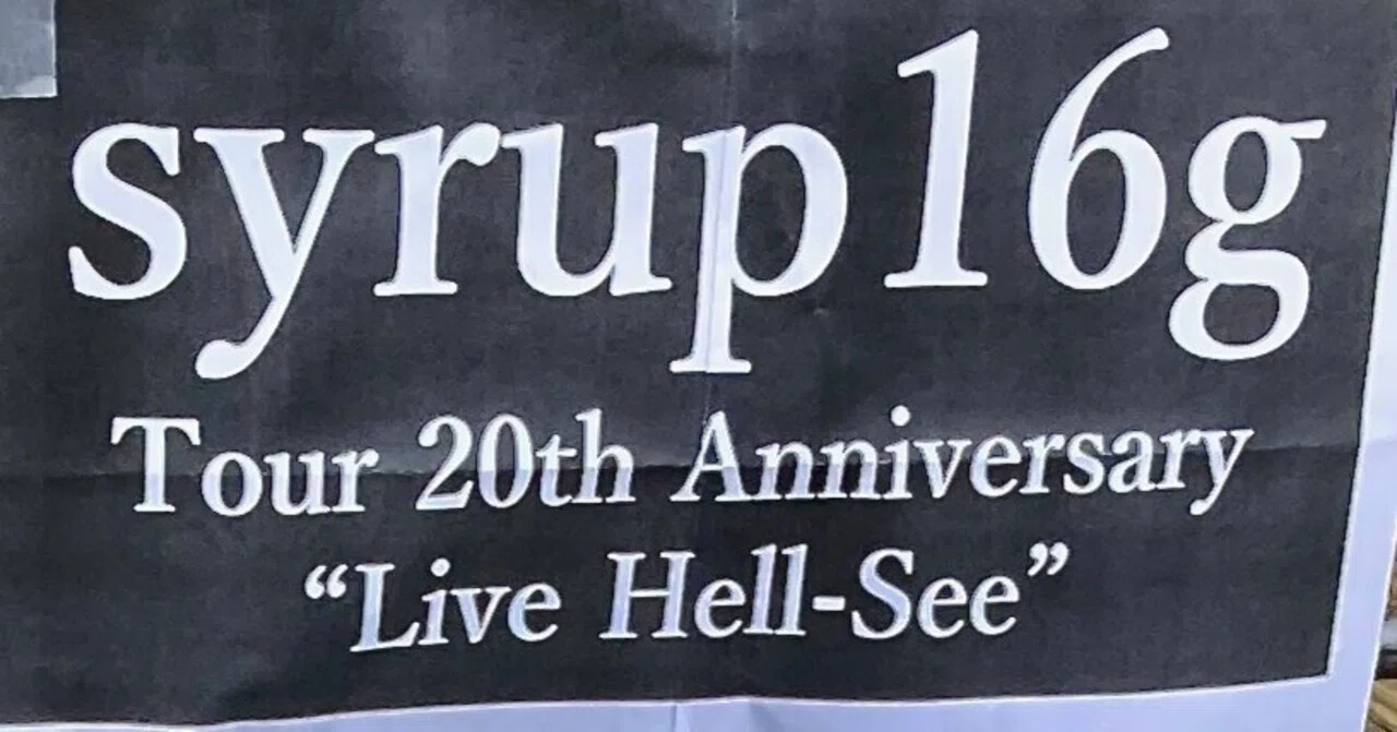 syrup16g Tour 20th Anniversary “Live Hell-See” 感想｜ミルフィーユ