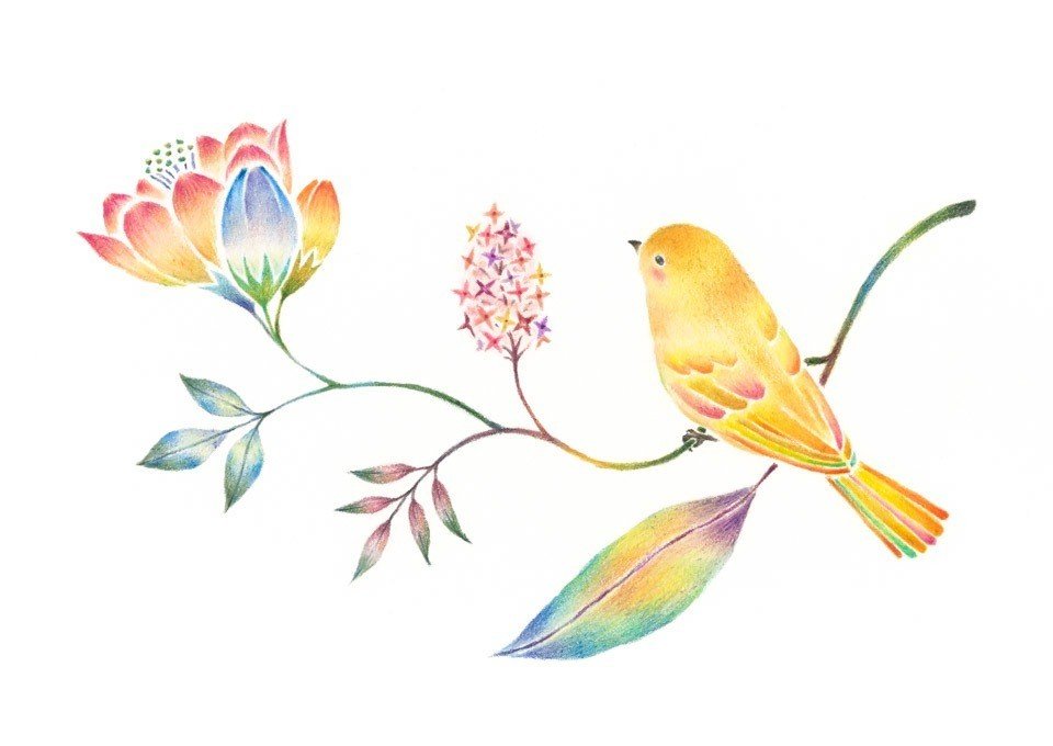 黄色の小鳥と草花 の絵 アトリエ リリ 絵本とイラストと物語 Note